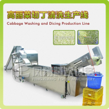 Cabbage/Mango Dicing and Washing Production Line